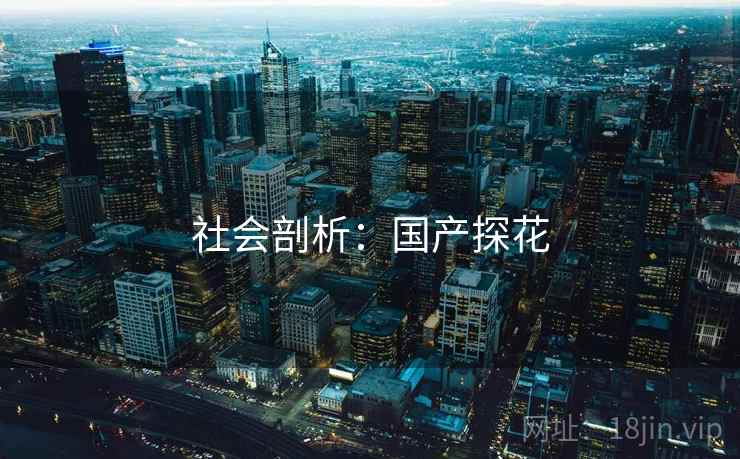 社会剖析:国产探花