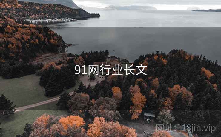 91网行业长文 第2张 91网行业长文 第2张