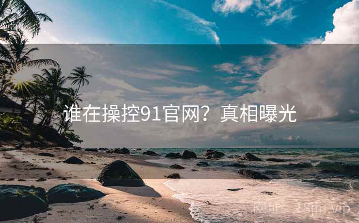 谁在操控91官网?真相曝光