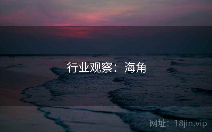 行业观察：海角