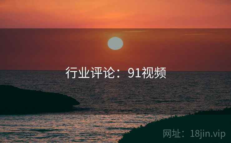行业评论:91视频