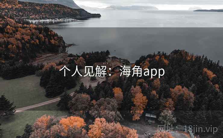 个人见解：海角app