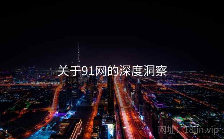 关于91网的深度洞察